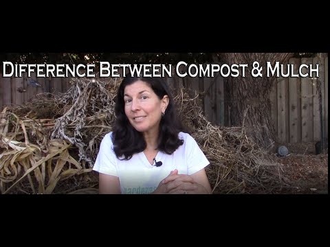 What's the Difference Between Compost and Mulch?