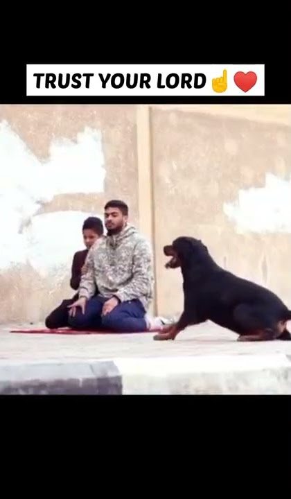Anjing Mencoba Menyerang Ayah dan Anak Saat mereka sedang berdoa. #celanapendek#islami#muslim#ytshorts#status