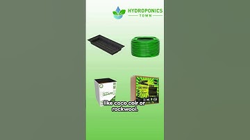 Light Up Your Hydroponic Garden: Growing Tomatoes Indoors - HydroponicsTown