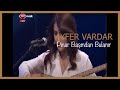 Ayfer Vardar - Pınar Başından Bulanır