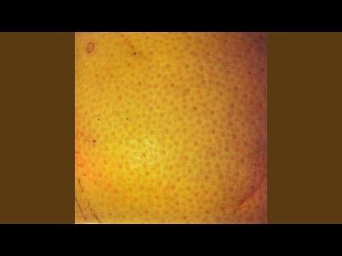 The Coctails — And You Could