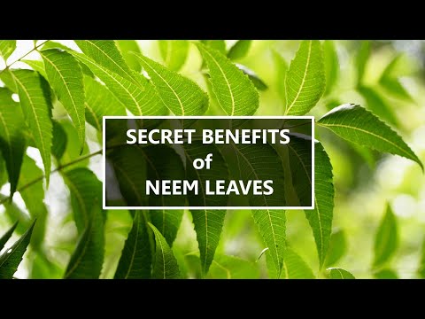 Video: Fret As Troeteldier: Neem Of Neem Nie