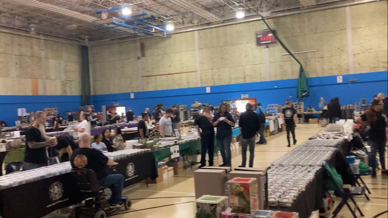 Eastern Invert Show Bedford U.K. 🇬🇧