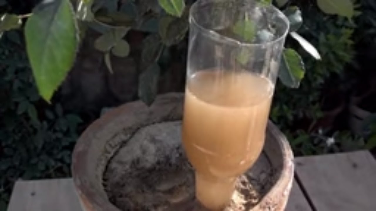 Soda Bottle Watering System for Growing Plants in Containers (Urdu