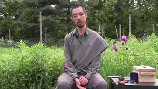 Guided Meditation - Escaping Spiritual Materialism - Peter Park - Sunday Sit