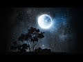 Fall Fast Asleep: Night Stream #67 with Meditations, Affirmations, &amp; Binaural Beats Music for Sleep