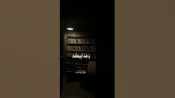 سورة يوسف#القرآن_الكريم #المصحف #تلاوة #اكسبلور #راحة_نفسية #قرآن #حالات_واتس