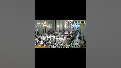 ما تيسر من سورة القصص للشيخ سعود الشريم تلاوة مبهرة  ما شاء الله