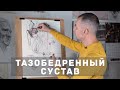 Тазобедренный сустав - А. Рыжкин