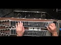 E9 Pedal Steel: Basic Country Intro