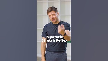 3 Principles of The Science of Stretching