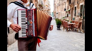 Accordion hits  beautiful melodies on the accordion