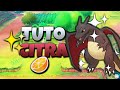 Comment randomizer de a  z une rom 3ds pour citra  random les pokmon et booster les shiny 