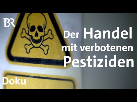 Video: Sind Pestizide schlecht für Hosen: Behandlung von Insektizidschäden an Pflanzen