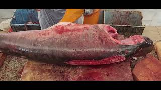 The Marlin।।Amazing Giant Marlin Fish Filleting Skills।।Fantastic Skills of Marlin Cutting