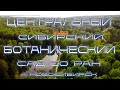 Центральный Сибирский Ботанический сад СО РАН г. Новосибирска | БотСад | дрон 4к | #дрон4к