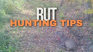 Whitetail Rut Hunting Tips | Buck Behavior, Pinch Points & All-Day Sits