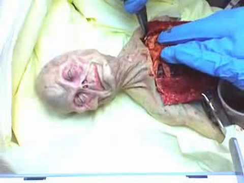 WWW YOUTUBE COM AUTOPCIA www youtube com autopcia: