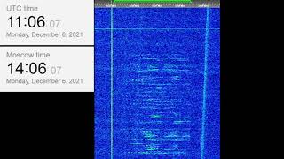 The Buzzer/UVB-76(4625Khz) December 6, 2021 11:05UTC Voice message