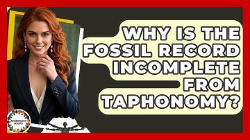 Why Is The Fossil Record Incomplete From Taphonomy? - Anthropology Insights