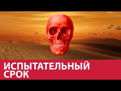 Как выжить на испытательном сроке - Москва FM