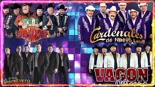 ✨Excelentes Corridos 2022💥Vagon Chicano,Conjunto Primavera, Ramon Ayala, Los Tigres Del Norte