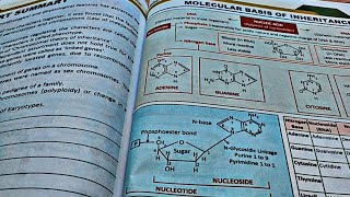 Revision with me BIOLOGY! Study with me live #neetstudy #studywithme