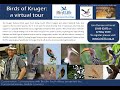 Conservation Conversations: Duncan McKenzie - Virtual Tours of Kruger's Birds - 12 May 2020