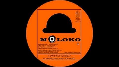moloko+