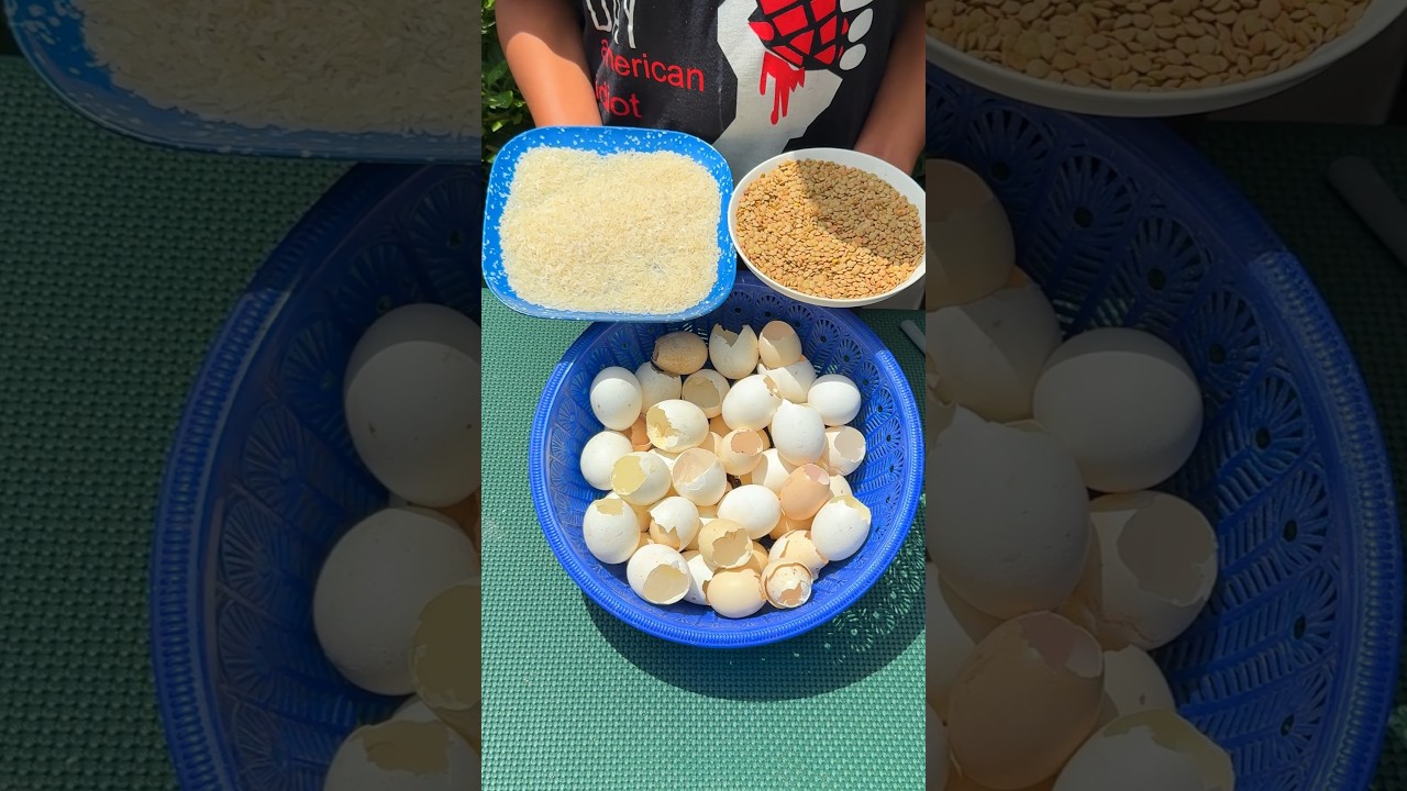 abonos para nuestro jardin #plantas #abonoscaseros