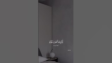 سورة الأحقاف ٠٠ #ابراهيم_محمد #العراق