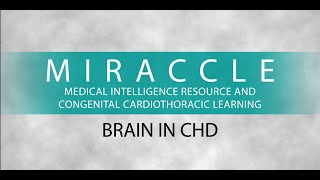 Brain in CHD - 03.02.2021