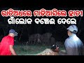 Night camping with elephant gone wrong  hadgarh dam zero point  keonjhar  odisha  india 