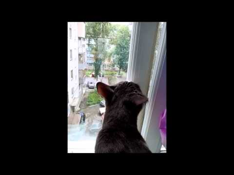ДВЕ  ДУШИ.  СТАС МИХАЙЛОВ.