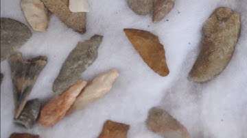 Multiple Display Cases Needed By a Tree Farmer Who Collects Arrowheads