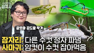 🐛ㅎㄷㄷ한 곤충 짝짓기세계 (갈로아 김도윤 작가) [이강민의 잡지사]