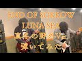 END OF SORROW/LUNA SEA【Guitar Cover】