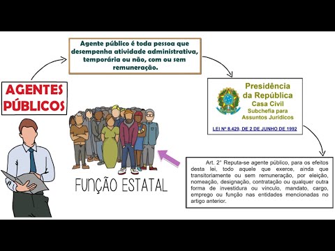 Vídeo: O público é Definição, características e curiosidades