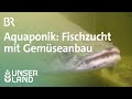 Aquaponik: Fischzucht und Gemüseanbau aus einem System | Unser Land | BR Fernsehen