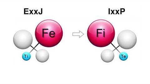 Feeling: Fe vs Fi