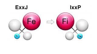 Feeling: Fe vs Fi