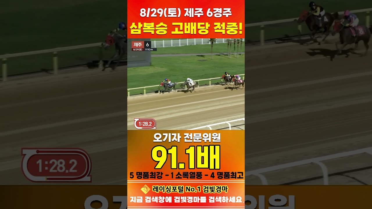 [제주 경마] 8월 29일 토요 6경주 오기자 전문위원 삼복승 고배당 적중 #한국마사회 #automobile #경마 #horse #하이라이트 #korean #비트코인 #게임 #뉴스