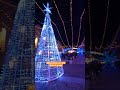 This is a Christmas decoration in Pavia center #italy #students #pakistan