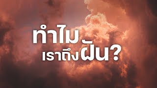 สารคดี 10 นาที - ทำไมเราถึงฝัน?