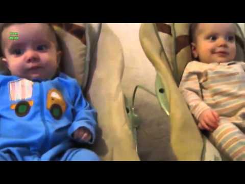 funny-twin-baby-video