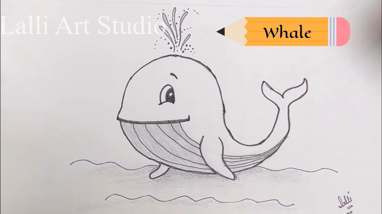 How to draw a Whale! Easy Whale drawing for kids!