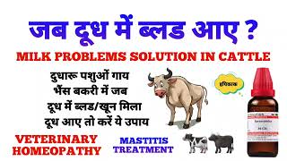 जब दूध में ब्लड आए ? थनैला ? mastitis treatment | mastitis homeopathic medicine | blood in milk