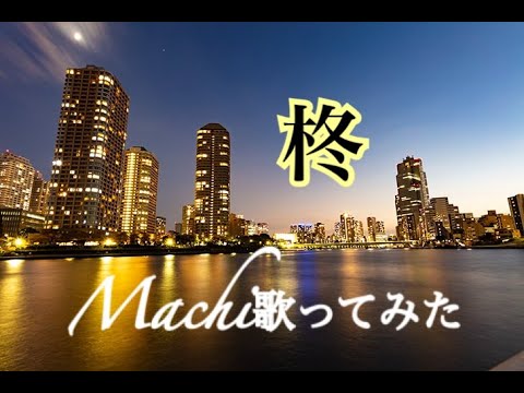 # 43 / Hiiragi / Cover by Machi