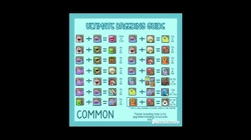 MSM Breeding guide part2   pls subscribe and like