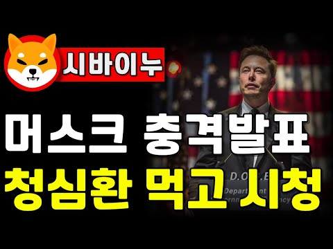 머스크 충격발표.. 청심환 먹고 시청하세요
